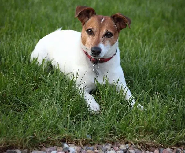Semesterbostad W Sercu Kaszub